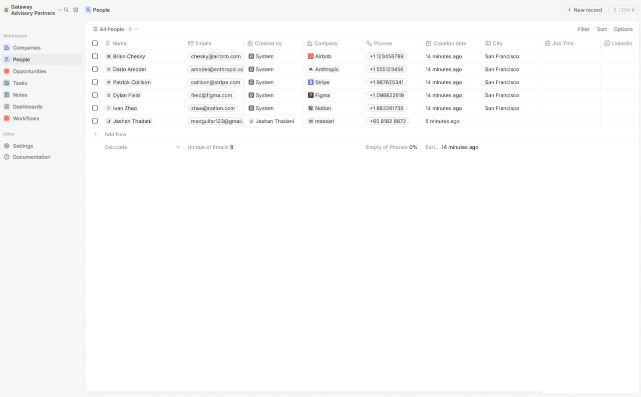 Custom CRM application interface